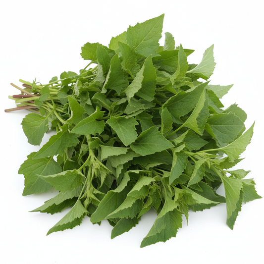 Bathua Desi Saag Seeds - Best Quality Home Garden Pack