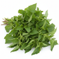 Bathua Desi Saag Seeds - Best Quality Home Garden Pack