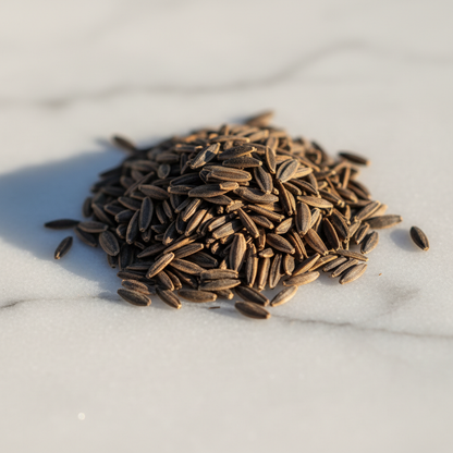 Coreopsis Tickseed Seeds Close-up