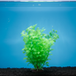 Plastic Aquarium Artificial Decoration Plant 10cm