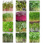Nutrition Microgreens Seed Collection Pack of 6 | Premium Varieties | Daily Superfood Combo | High Germination | Non GMO Untreated | Easy Home Growing