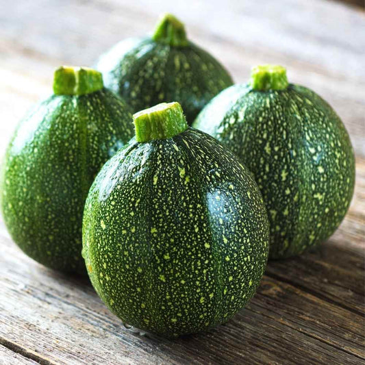 Summer Squash Seeds (Chappan Kaddu) | Grow Your Own Delightful Harvest!