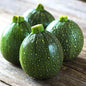 Summer Squash Seeds (Chappan Kaddu) | Grow Your Own Delightful Harvest!