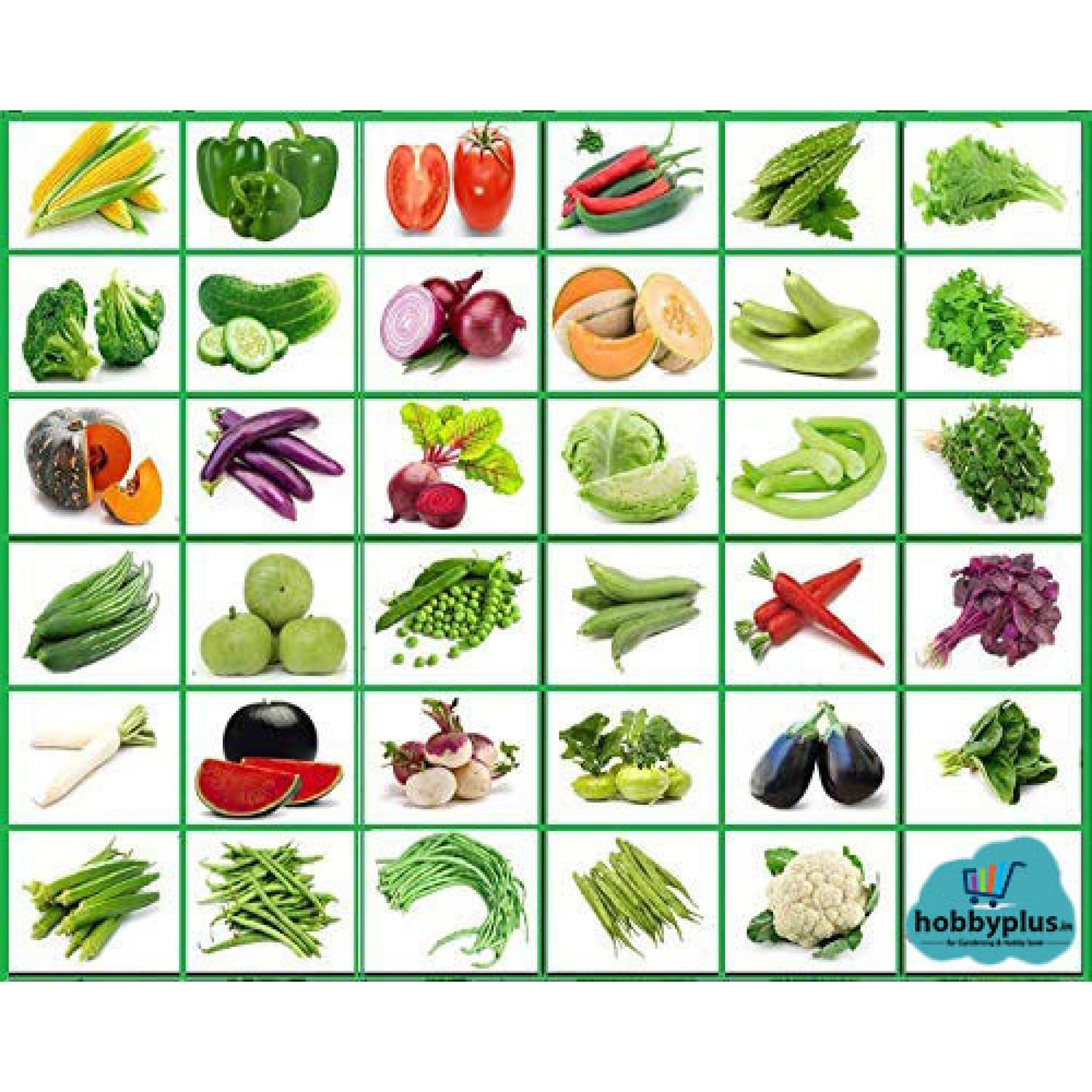 Indian Vegetable Seeds Combo Pack | 35+ Varieties | सब्जियों के बीज | Non-GMO | Fresh Harvested