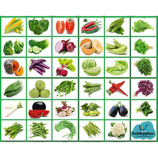 Indian Vegetable Seeds Combo Pack | 35+ Varieties | सब्जियों के बीज | Non-GMO | Fresh Harvested