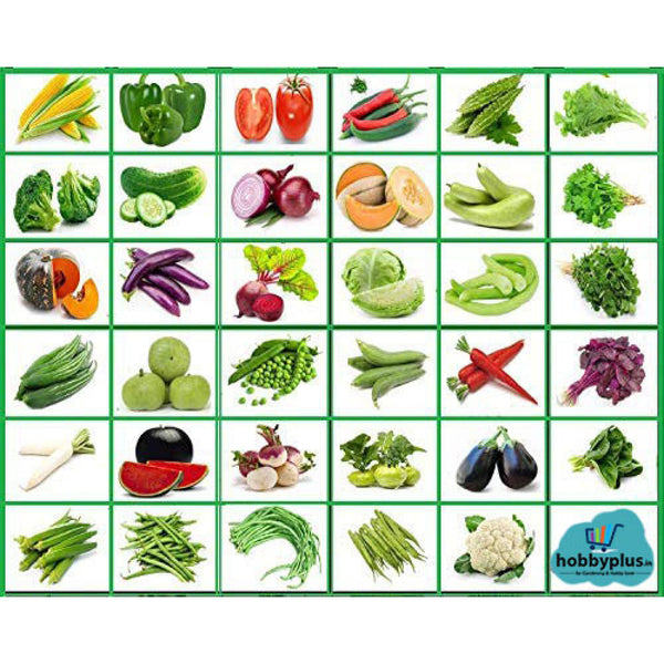Indian Vegetable Seeds Combo Pack | 35+ Varieties | सब्जियों के बीज | Non-GMO | Fresh Harvested