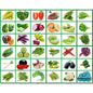 Indian Vegetable Seeds Combo Pack | 35+ Varieties | सब्जियों के बीज | Non-GMO | Fresh Harvested